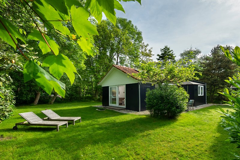 Charmantes Landhaus mit Garten, Bäumen und gemütlicher Sitzbank.