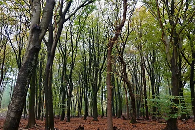 Sprielderbosch 46 "De Zonnehoed"
