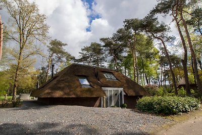 Vakantiehuis Ontspannende vakantie Putten