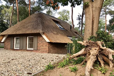 Sprielderbosch 23 "De Zwijnenstal"