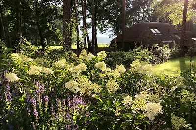 Sprielderbosch 23 "De Zwijnenstal"
