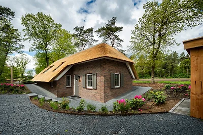 Sprielderbosch 45 ‘Skogen’