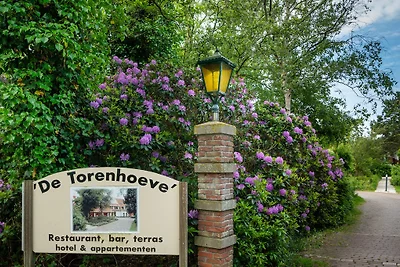 Appartement "Torenhoeve 41" (117)