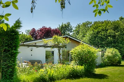 Salvatorhoeve 46