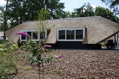 Sprielderbosch 14 "'t Sprielderhof"
