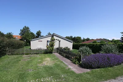 Beachpark 67