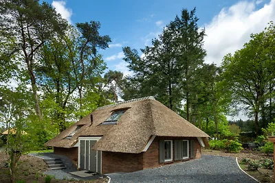 Landgut Sprielderbosch 5
