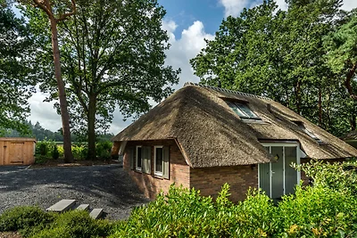 Sprielderbosch 15 (133)