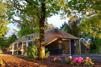 Sprielderbosch 46 "De Zonnehoed"