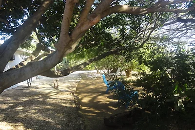 Ferienhaus Aruba Cas Kenepa