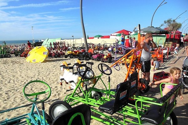 Fischerhaus (Typ) Mövennest in De Panne - Firma Ferienhaus Mövennest