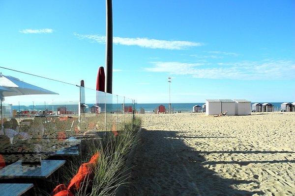 Fischerhaus (Typ) Mövennest in De Panne - Firma Ferienhaus Mövennest