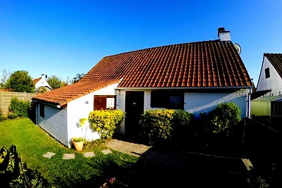 Fischerhaus (Typ) Mövennest