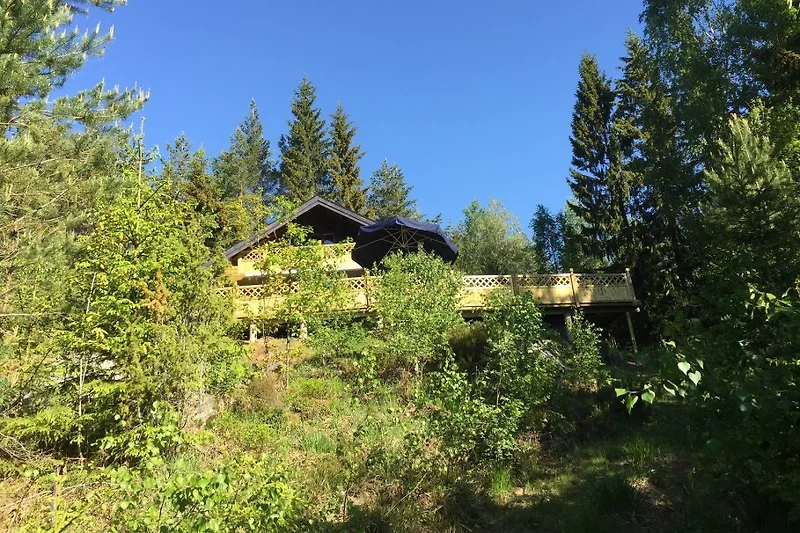 Falla  mitten in der Natur