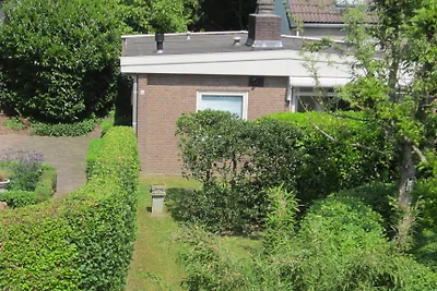 Bergen Bos en Duin 