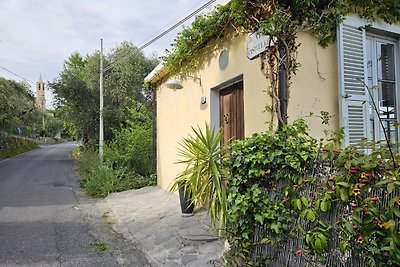 Casa Gallo