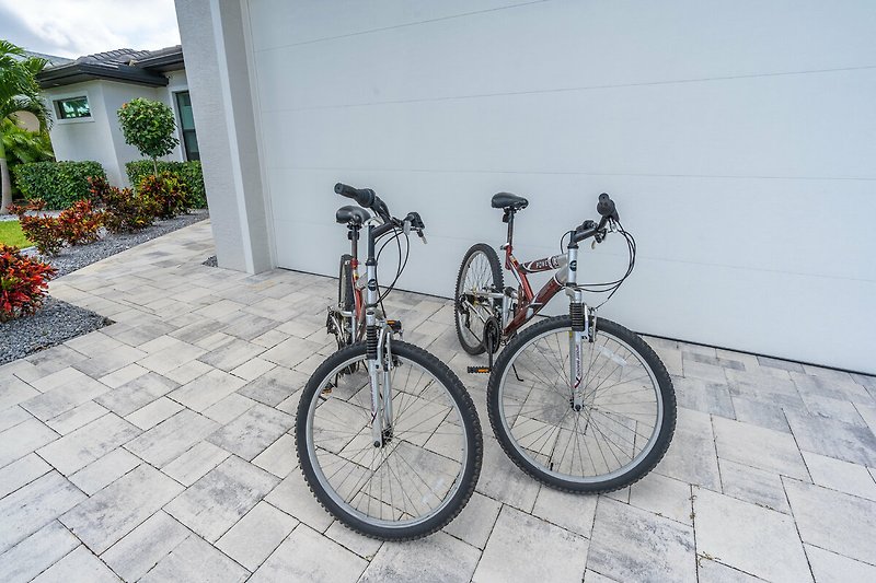 Fahrrad mit Reifen, Lenker und Rahmen vor Pflanze und Straße.