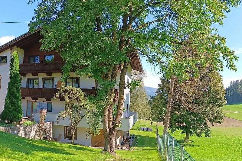 Großer Garten mit gepflegtem Rasen und hohen Koniferen.