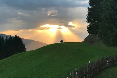 Tirol-Gilferthütte in Alleinlage