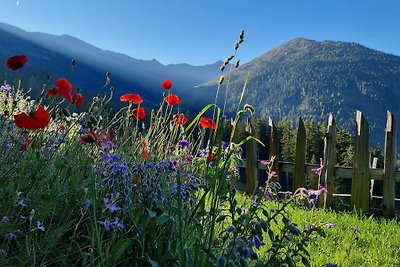 Tirol-Gilferthütte in Alleinlage