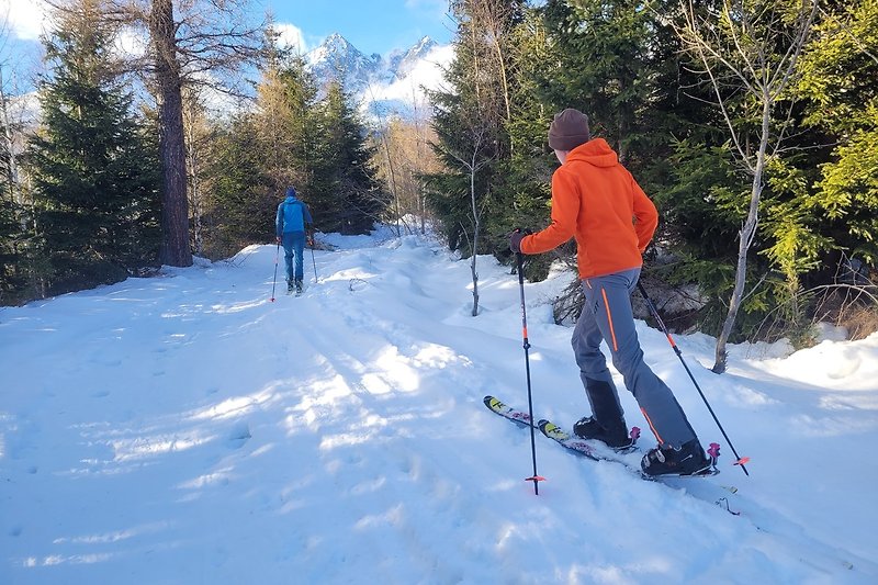 Winterlandschaft mit Skifahrer, verschneiten Bäumen und atemberaubender Aussicht.