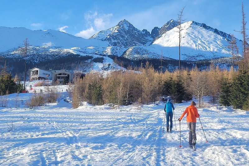 Genießen Sie den Winter in den Bergen mit Skifahren, Schnee und einer atemberaubenden Landschaft.