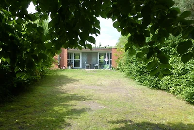 Naturerlebnis in Mecklenburg