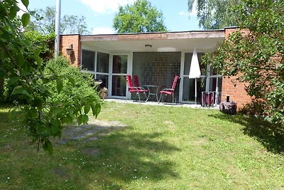Natuurbeleving in Mecklenburg -2