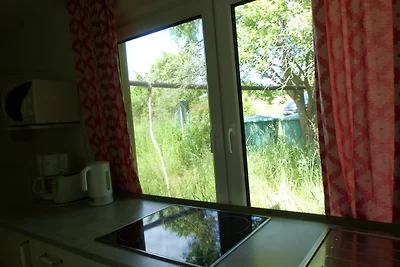 Natuurbeleving in Mecklenburg -2