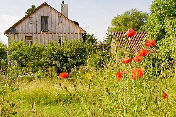 Ferienwohnung Homberg (Efze)