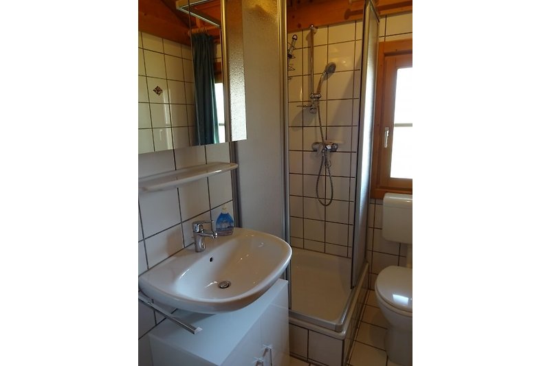 Bathroom with shower and toilet.