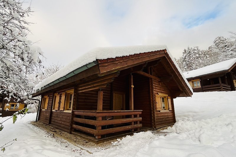 Holzblockhaus mit winterlicher Landschaft und verschneitem Dach.