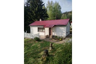 Ferienhaus Beerberg Thüringer Wald