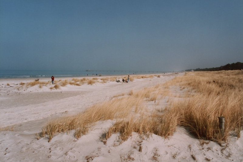 wide sandy beach in the north