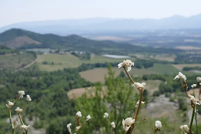 Gîte Le Jas des Sagničres