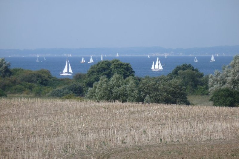 Vue depuis le balcon