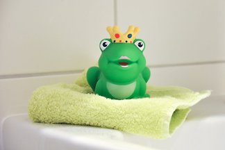 Der Froschkönig