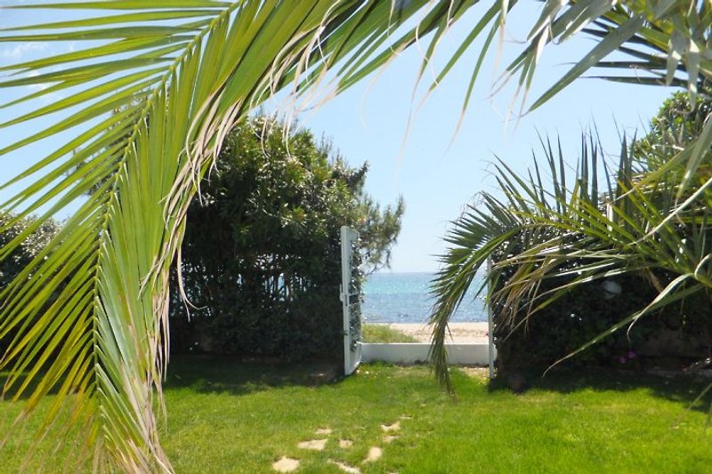 Jardín con salida directa a la playa