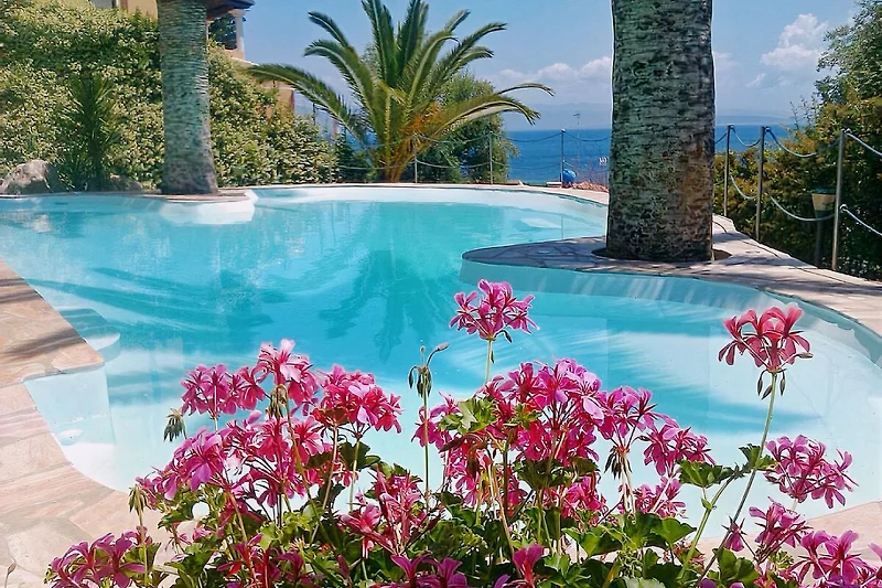 Der Pool mit Meerblick