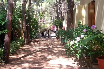 Ferienhaus GIRASOLE
