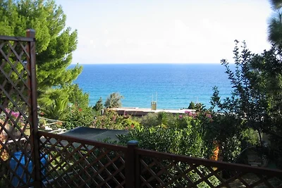 casa PINUS