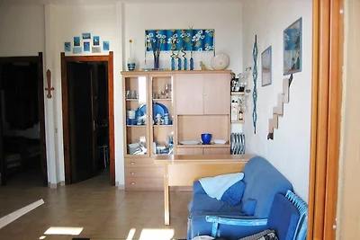 casa PINUS