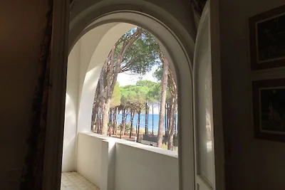 casa SAIA