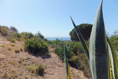 Casa vacanza CasaVerde