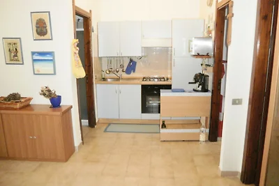 casa PINUS
