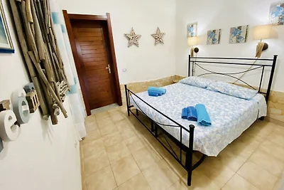 casa PINUS