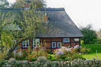 Fischer Hus Büschow