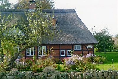 Fischer Hus Büschow