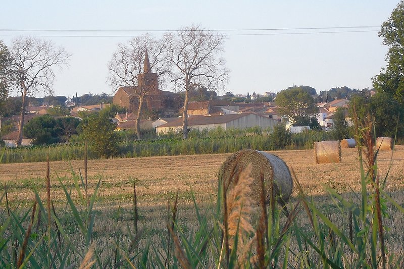 Blick auf Portiragnes- Village