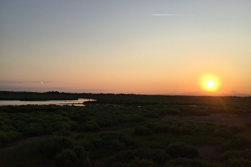 Sonnenuntergang am Naturschutzgebiet